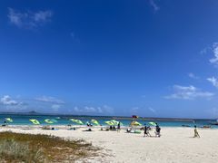 Momõ}Vbv }[Chւ̓eʐ^1