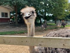 Te2843223����̃_�`���E�����@�Ή��t�@�[���ւ̓��e�ʐ^1