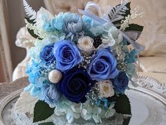 ₿񂳂̃AgGMւ̓eʐ^1