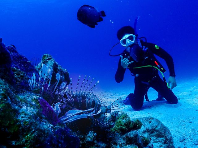 �v���[���g���Ă�������ʐ^�ł��B_�I�[�V�������E���W