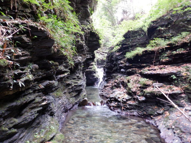 �T���ɂ��s���܂��B_�r�b�N�X�}�C�����҃��t�e�B���O