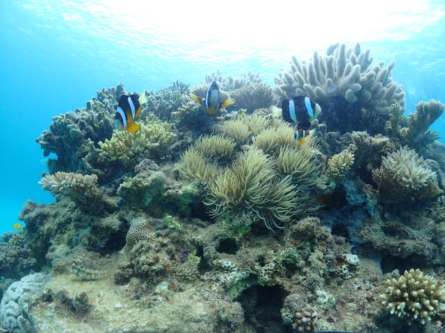 �X��ʂƂ������񂽂�_EGG�_�C�r���O�V���b�v