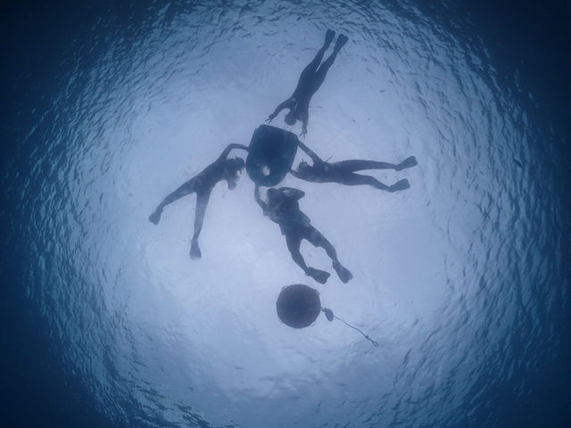 �C�̉�����̃V���G�b�g�ʐ^_EGG�_�C�r���O�V���b�v