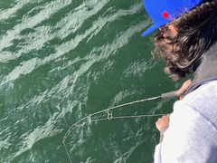 Ђ낳Seafari Japanւ̓eʐ^1