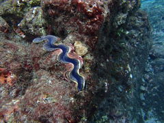 ܂Ȃaquastyleւ̓eʐ^1