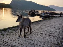 ۂ񂽂̃BgJ̓]ւ̓eʐ^1