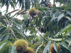 ۂɂ傳̃jgόʎւ̓eʐ^5