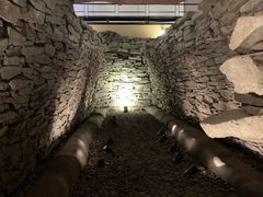 �X�^�[����̐�Ȏs�X���R�ˌÕ��قւ̓��e�ʐ^1