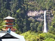 ڂ炳̓ߒqRݓn̓eʐ^7