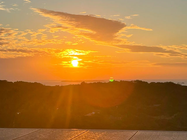 ��������̗[��_�I�[�V�������E���W