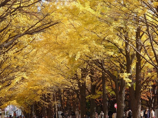 ����_�k��C�`���E����