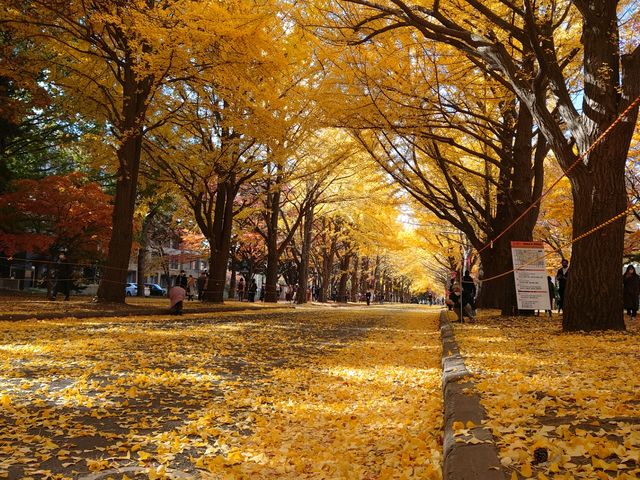 �����̓�������Ă銴�o_�k��C�`���E����