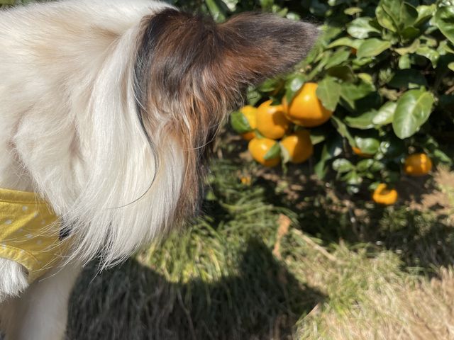 �݂���_���͑����ɒ��ӂȂ̂�
��񂱂̓����b�N
�C�̓X�j�[�J�[���ǂ��ł�(^-^)_�O�x��