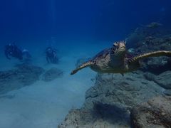 fuũRY~bNA[Xւ̓eʐ^1