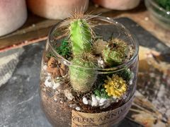 _j[̖É̌([NVbv)LITAւ̓eʐ^1