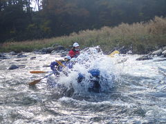 䂫̃OfbNX҃x[Xւ̓eʐ^1