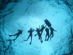 ܂܂肱̃}T[rXނʁ[ւ̓eʐ^1