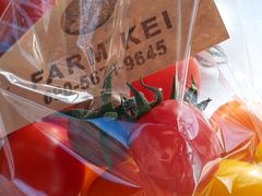 ȂȂ񂳂FARM@KEIւ̓eʐ^1