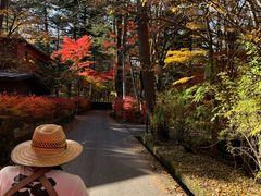 }bL[̌yόl͎ԂĂłւ̓eʐ^1