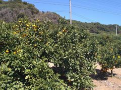 ͂Ȃ肳݂̂@Ƃ牀ւ̓eʐ^1