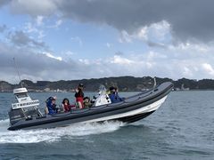 TigerSeafari Japanւ̓eʐ^1