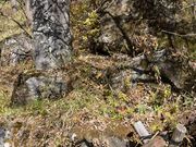 kPĂ郉C_[̊ὠeʐ^1