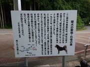 ̓̉w TGCgs̓eʐ^4