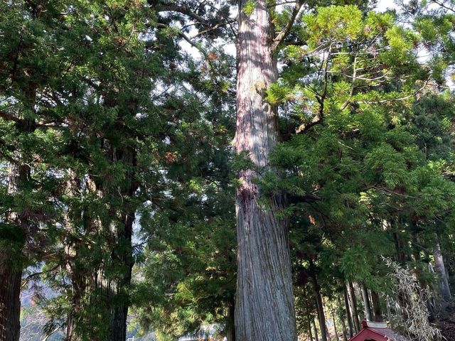 kPĂ郉C_[̋P̕vwXM̓eʐ^1