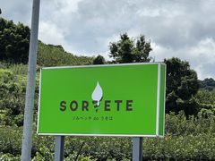 poporoñ\xb`do͂ւ̓eʐ^1