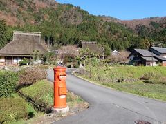 Ђł񂳂̔RԂ̗ւ̓eʐ^1