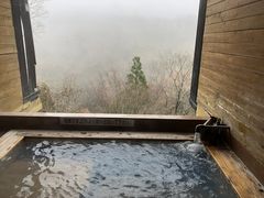 ���񂳂�̖L��̓��@�W�]�I�V���C�ւ̓��e�ʐ^1