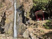 �k�P�Ă郉�C�_�[����̌��_�̑�̓��e�ʐ^1