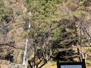 �k�P�Ă郉�C�_�[����̌��_�̑�̓��e�ʐ^1