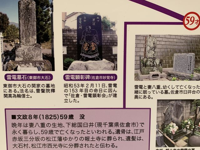 �͎m���d�̐���