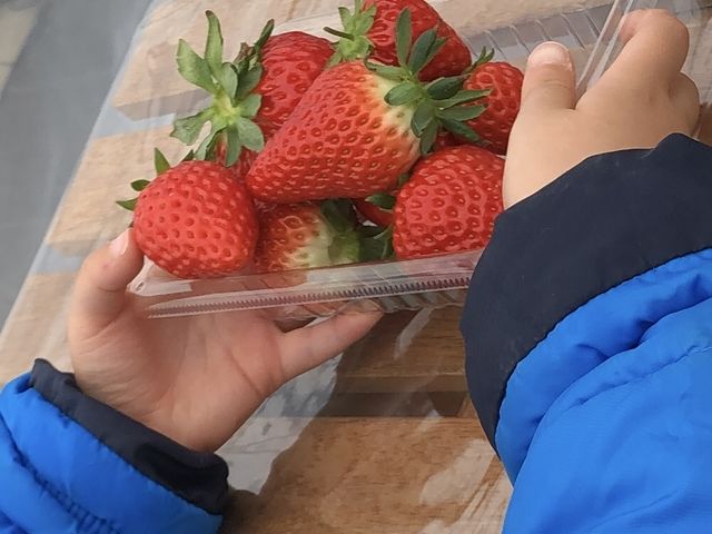 �F�t�����Y��Ŏ��̒��܂���悭�A�ƂĂ���������䕂ł�����_������܃x���[1