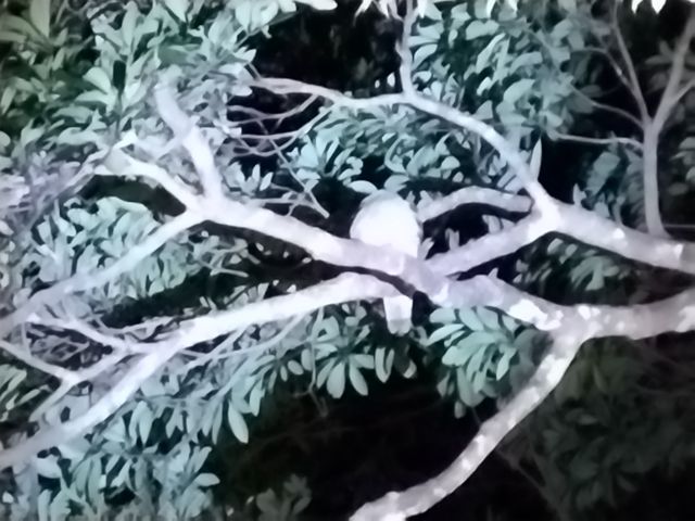 ҋחނ炵BȒX́AALłB_IWiT[rX