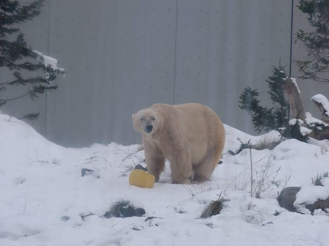 ���R���R�̂��낭�܁I_�~�R������