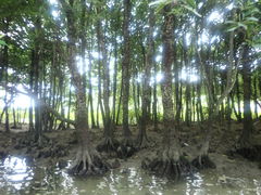 PP̖` ꑍAEghAcA[Xւ̓eʐ^1