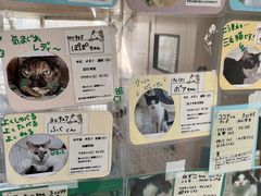 ^P񂳂̉Ԃ̖؃VF^[@2قւ̓eʐ^2