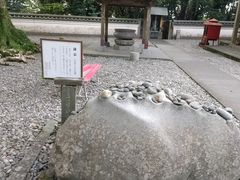 ��������̍Ō�莛�@���΂ւ̓��e�ʐ^1