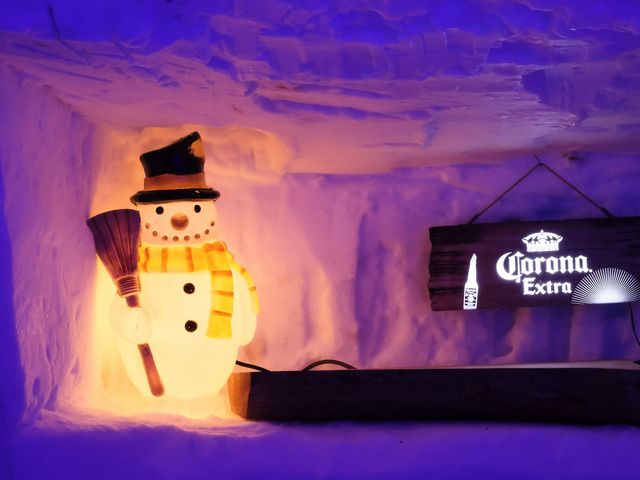 �J�}�N���̒�_���R�u�É���