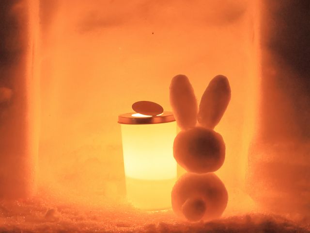 �E�T�M�������I_���R�u�É���