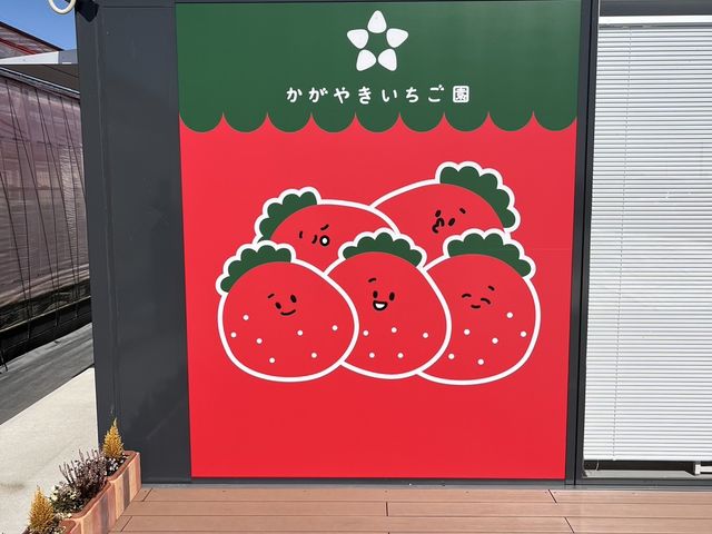 ������_�����₫��������