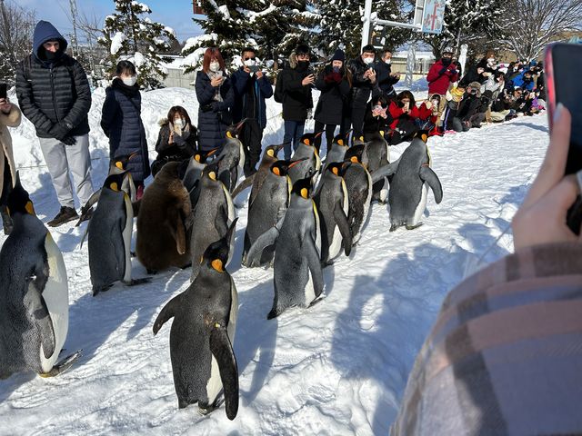 �y���M���p���[�h_���R������