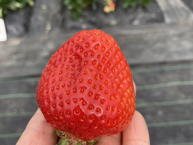 �̂ꂽ�Ă��܂���_�ό��_�����E�t���[�Y