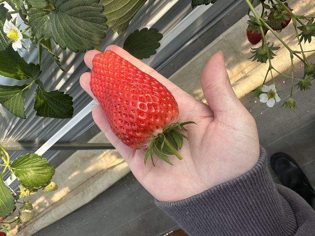 ���̈ʂ̂���������R����܂����I_�A�O�x���[