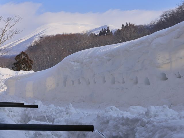 ��ǂ̌��͓��v�ネ�E�\�N�̓���_���R�u�É��� �ώᐅ�̓�����