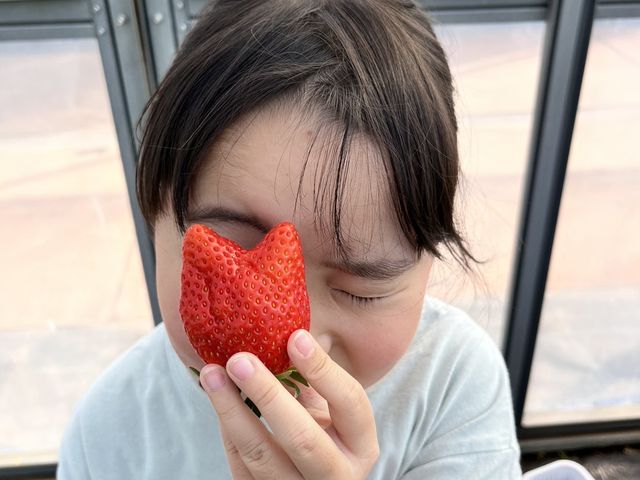 �傫��䕂������_�X�g���x���[�����h�}��