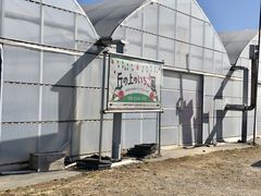 ݂݂̋ȕ̂ւ̓eʐ^1