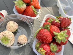 ҁ`񂳂̂̂ւ̓eʐ^1